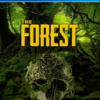The Forest 1